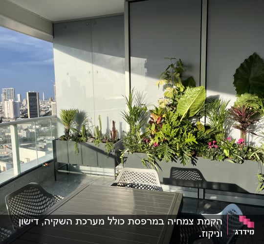 עציצים עם צמחים ירוקים ופרחים במרפסת
